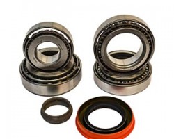 Internal Transmission Bearings