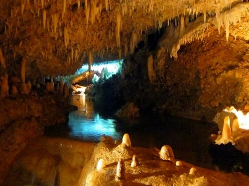 Barbados Wildlife Reserve Cruise Excursion Cost