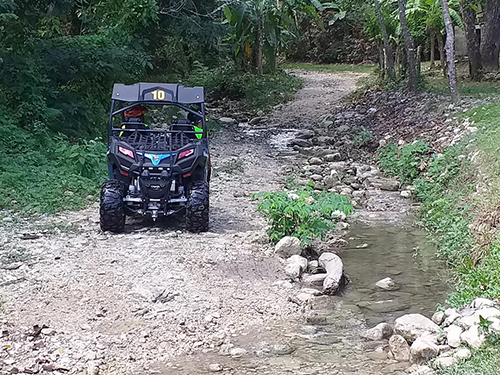 Amber Cove Jungle Cruise Excursion Booking