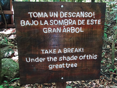 Amber Cove Adventure Park Adventure Trip Reservations