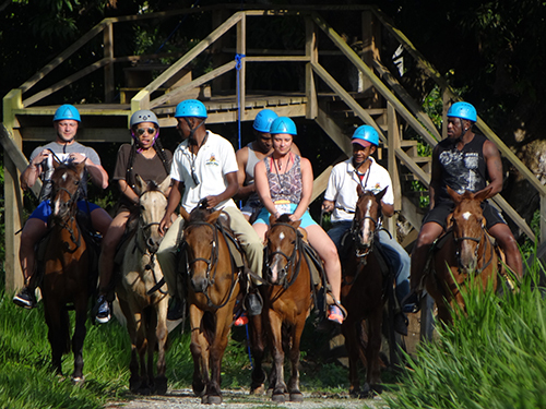 Amber Cove petting zoo Combo Trip Cost