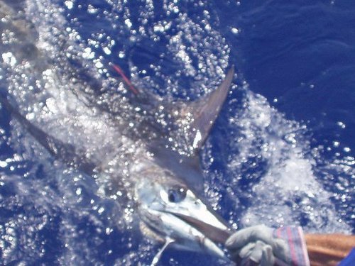 Amber Cove (Puerto Plata) Private Charter Tour Prices