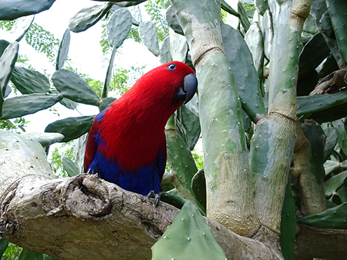 Amber Cove Dominican Republic Family Adventure Tour Booking