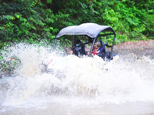 Amber Cove Tobacco Tour Reservations