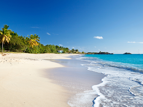 Antigua Adventure Shore Excursion Tickets