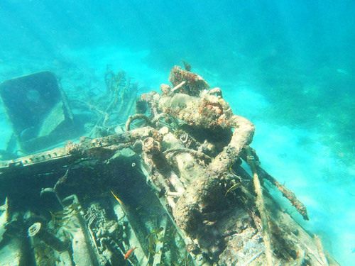 Antigua  St. John's  Shore Excursion Prices