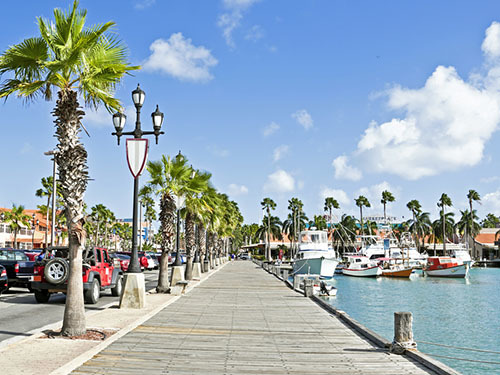 Aruba Oranjestad Automatic UTV Rental Excursion Prices