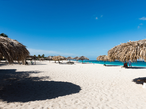 Aruba Aloe Field Shore Excursion Cost