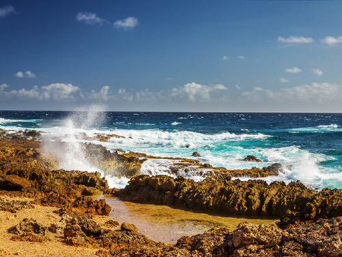 Aruba Self Guided Shore Excursion Reviews