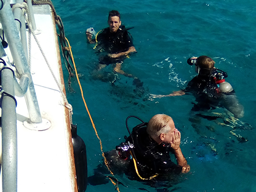 Aruba One Tank Cruise Excursion Prices