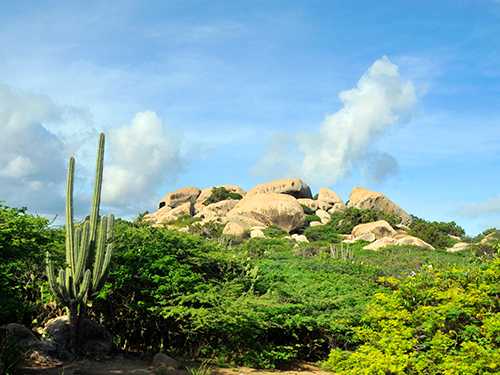 Aruba Oranjestad Casibari Rock Cruise Excursion Prices