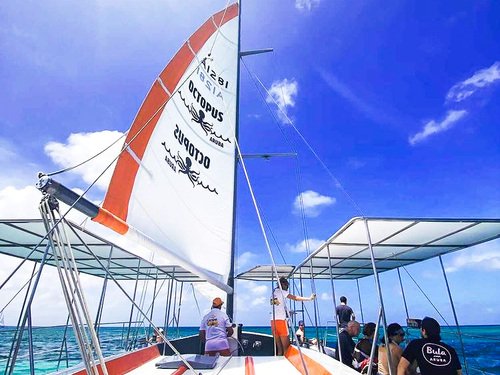 Aruba  Oranjestad Aruba Excursion Trip Reservations