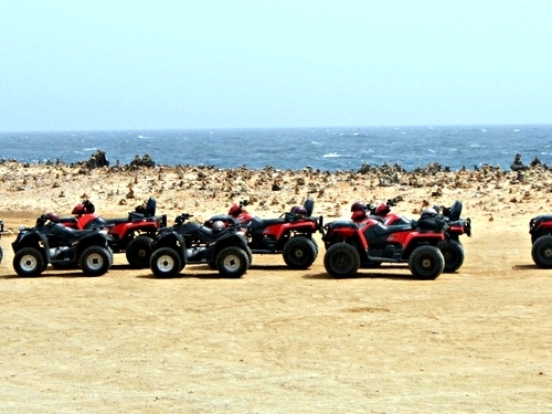 Aruba Oranjestad Off Road Shore Excursion Cost