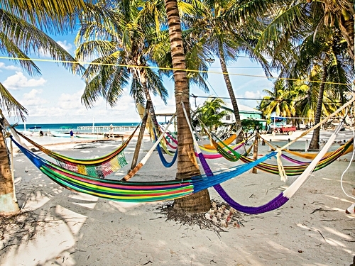 Belize Caye Caulker Snorkeling Shore Excursion Reviews