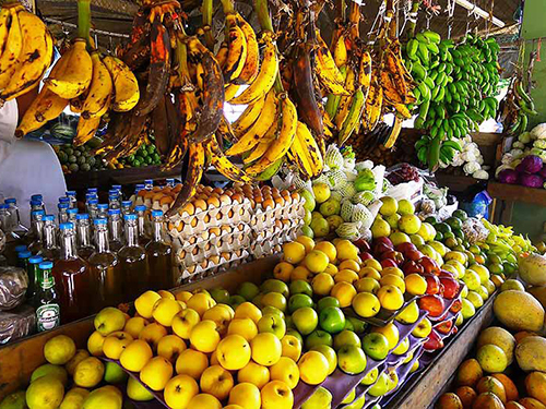 Belize Sightseeing Tour Booking