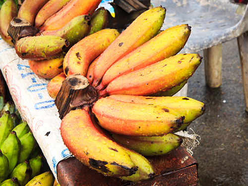 Belize Sightseeing Excursion Tickets