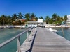 Belize Sea Turtle Snorkel and Caye Caulker Island Beach Excursion Good guides, good snorkel