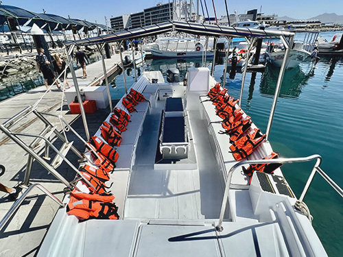 Cabo San Lucas Lands End Sightseeing Boat Shore Excursion Cost