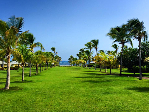 StBasseterre catamaran Trip Cost