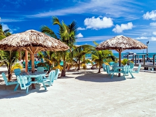 Belize sea turtles Shore Excursion Cost