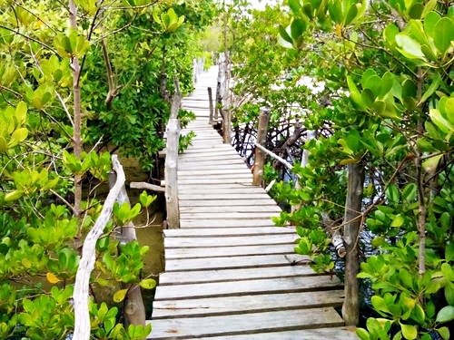 Antigua cades reef Cruise Excursion Reservations