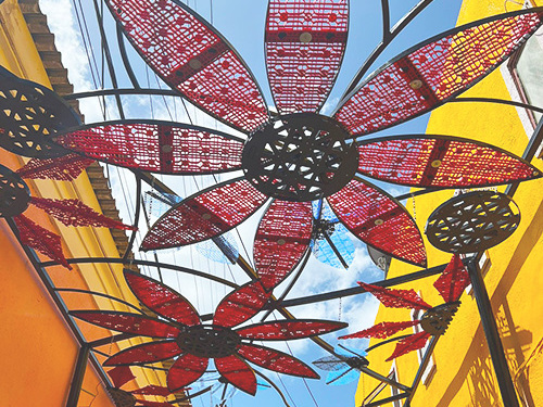 Curacao bus Shore Excursion Booking