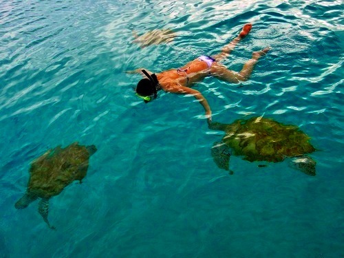 Barbados bridgetown cave exploration Tour Booking