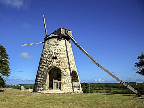 Antigua Fig Tree Drive Tour Reservations