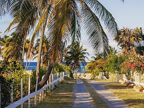 StBasseterre boat Trip Reservations