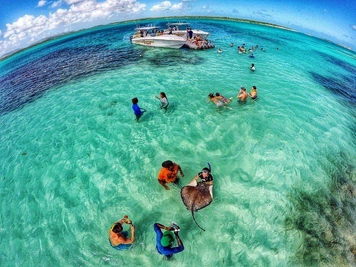 St. Johns stingray city Trip Reviews