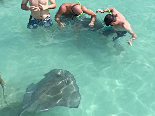 St. Johns Shore Excursion Prices