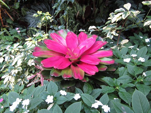 Barbados Bathesheba and Cattlewash Reservations