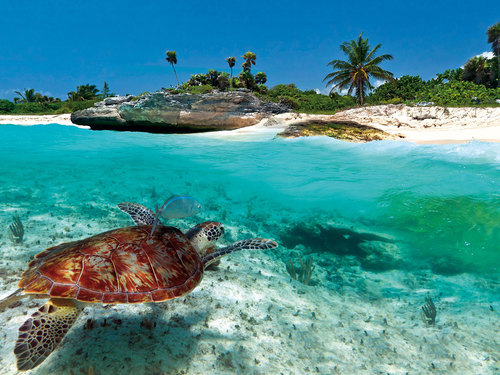 Antigua Fig Tree Drive Excursion Cost