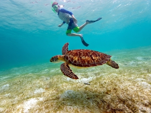 Belize  Belize City coral reefs Excursion Prices