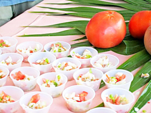 Grand Turk  Turks and Caicos Underwater Trip Tickets