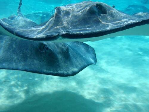 Grand Turk Underwater Trip Cost