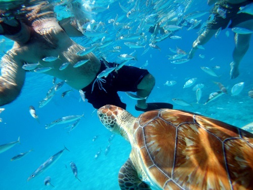 Barbados Carlisle Bay Trip Prices