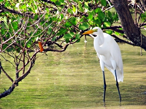 Antigua St. John's beach break Excursion Booking