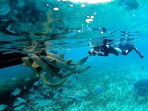 Belize City boat snorkeling Cruise Excursion Cost