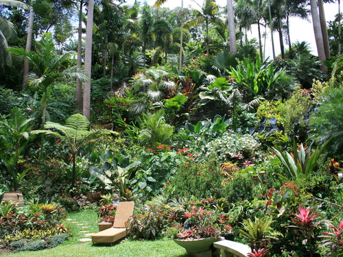 Barbados St. Nicholas Abbey Reviews