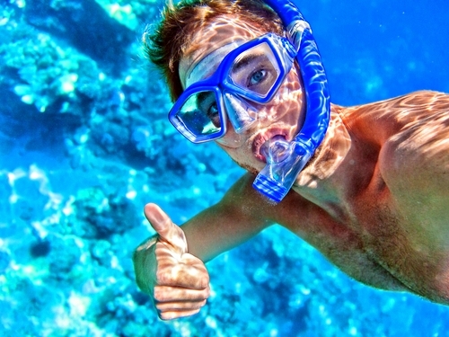 Antigua St. John's cades reef Trip Prices