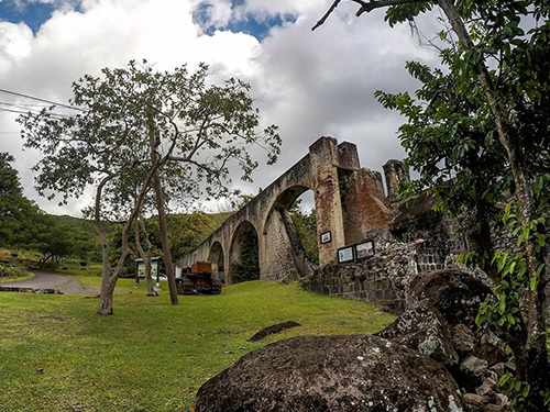 Antigua  St. John's pineapple farm Trip Tickets