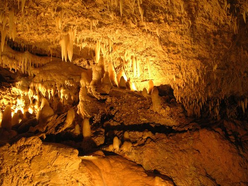 Barbados trolley ride Cost