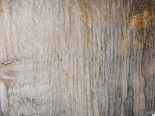 Barbados  West Indies (Bridgetown) underground river Cruise Excursion