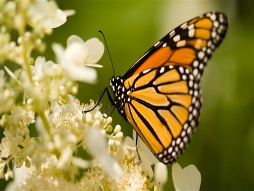 Aruba private sightseeing Trip Prices