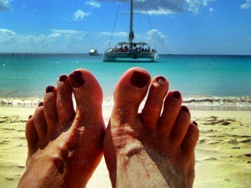 Barbados bridgetown Snorkel with turtles Cruise Excursion Reservations