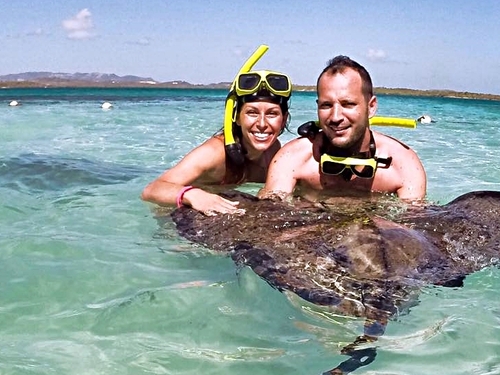 Antigua and Barbuda stingrays Excursion Prices