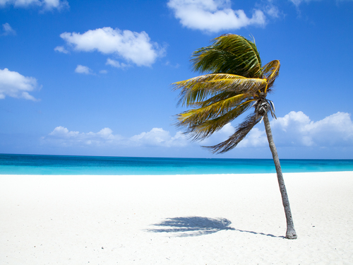 Oranjestad All Inclusive Day Pass Excursion Reviews