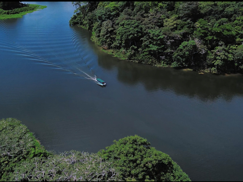 Panama City Boat ride to Monkey Island and Colonial Streets Sightseeing Excursion