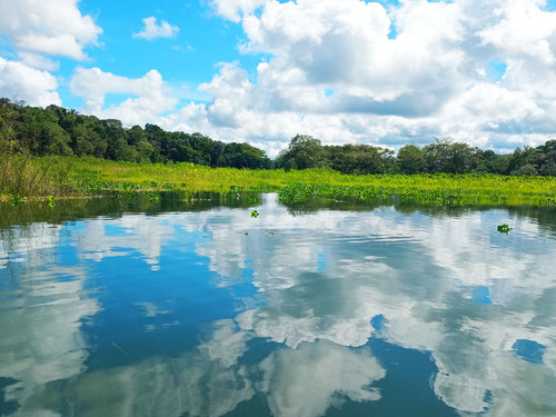 Panama City Chagres River Canal and Rainforest Cruise Excursion